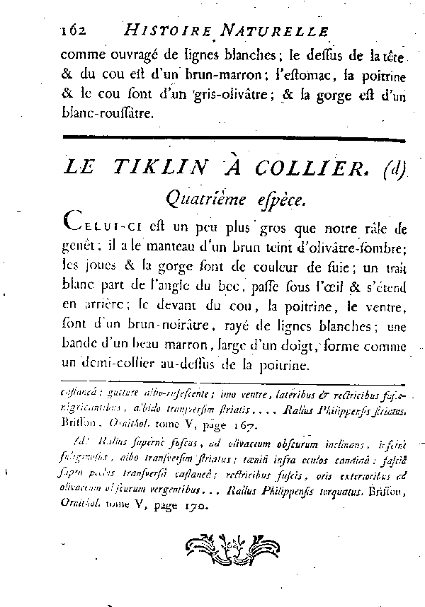 Le Tiklin à collier.