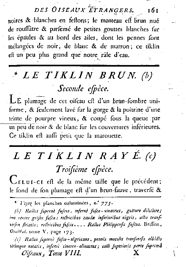 Le Tiklin rayé.