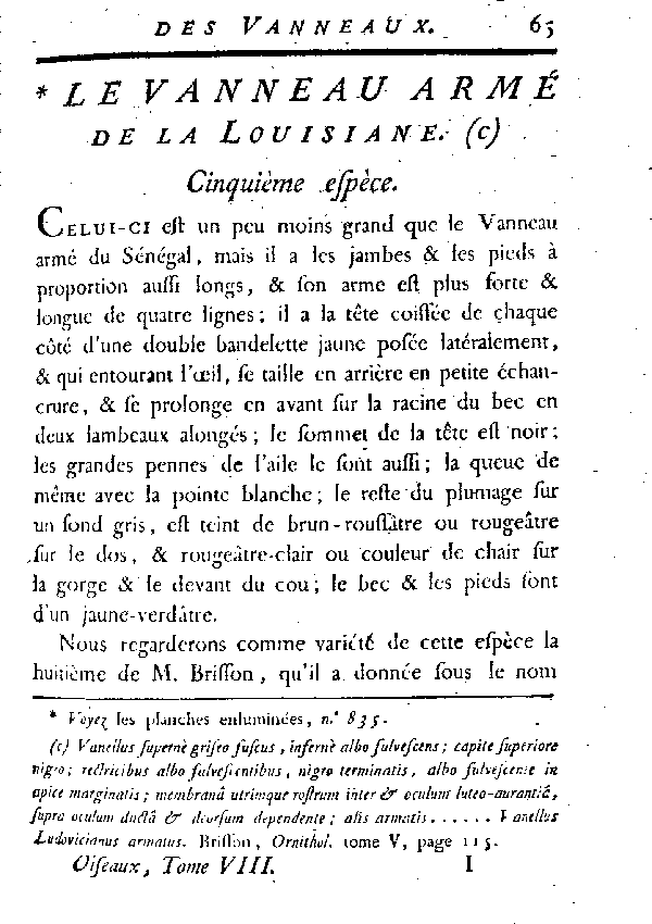 Le Vanneau armé de la Louisiane.