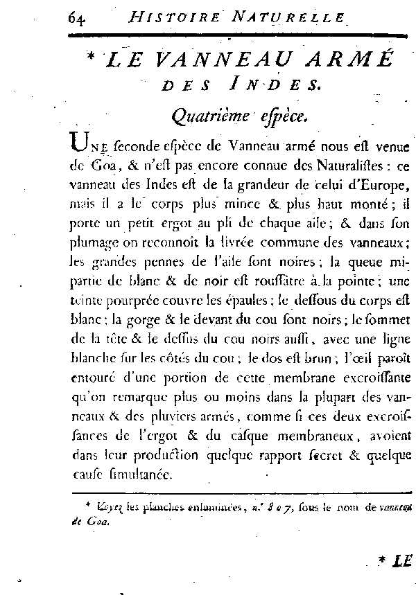 Le Vanneau armé des Indes.