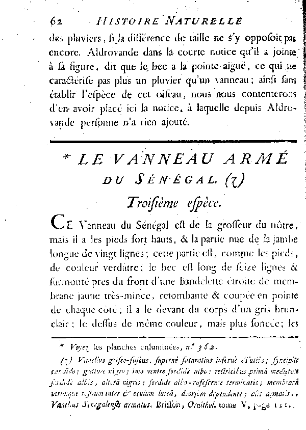 Le Vanneau armé du Sénégal.