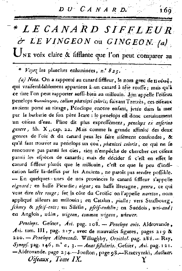 LE CANARD SIFFLEUR et LE VINCEON ou GINGEON.