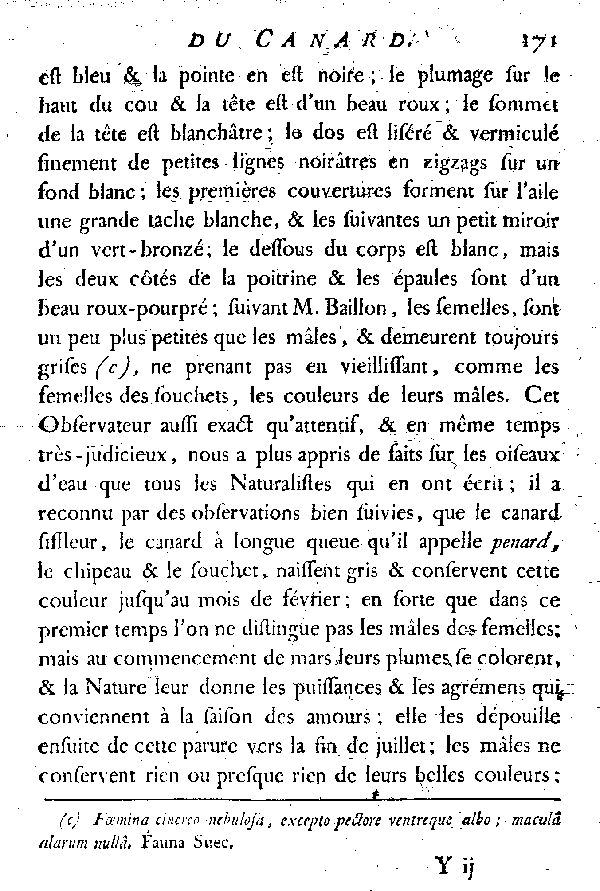 LE CANARD SIFFLEUR et LE VINCEON ou GINGEON.