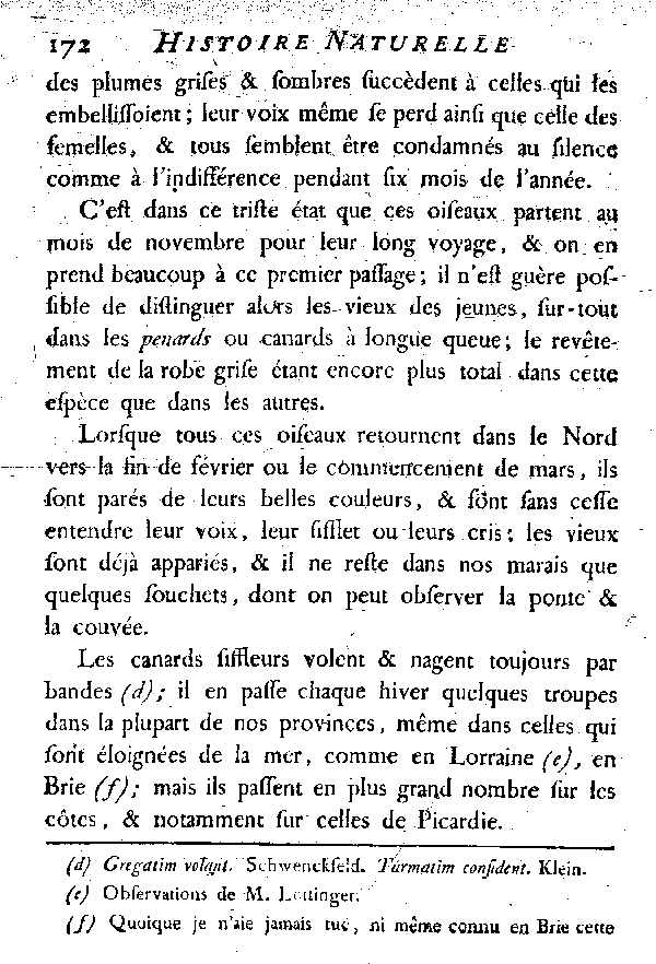 LE CANARD SIFFLEUR et LE VINCEON ou GINGEON.