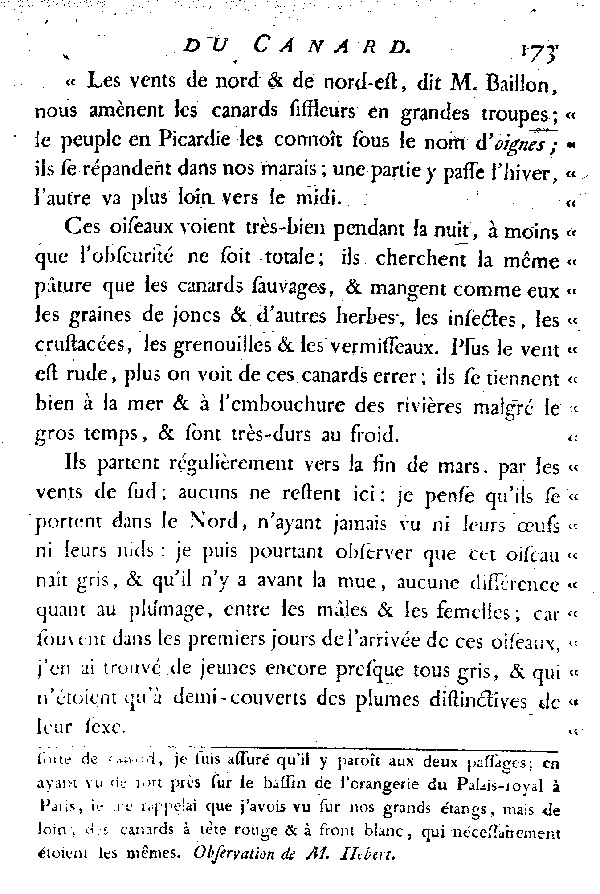 LE CANARD SIFFLEUR et LE VINCEON ou GINGEON.