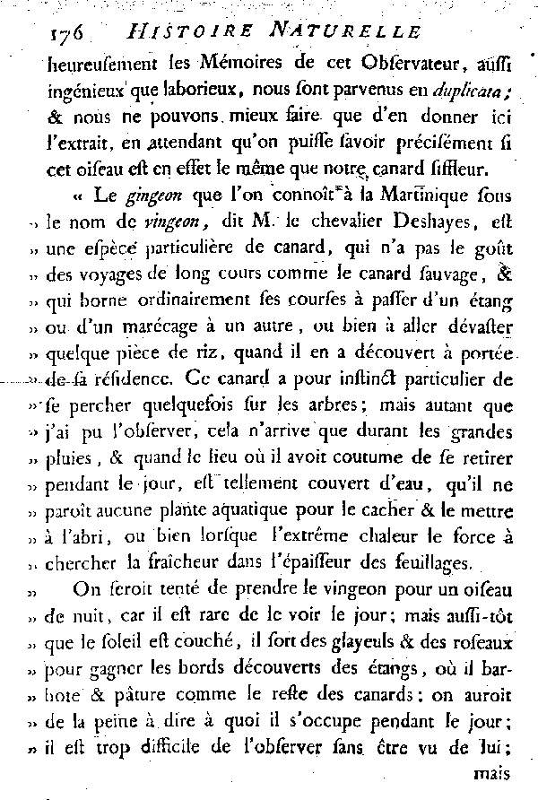 LE CANARD SIFFLEUR et LE VINCEON ou GINGEON.