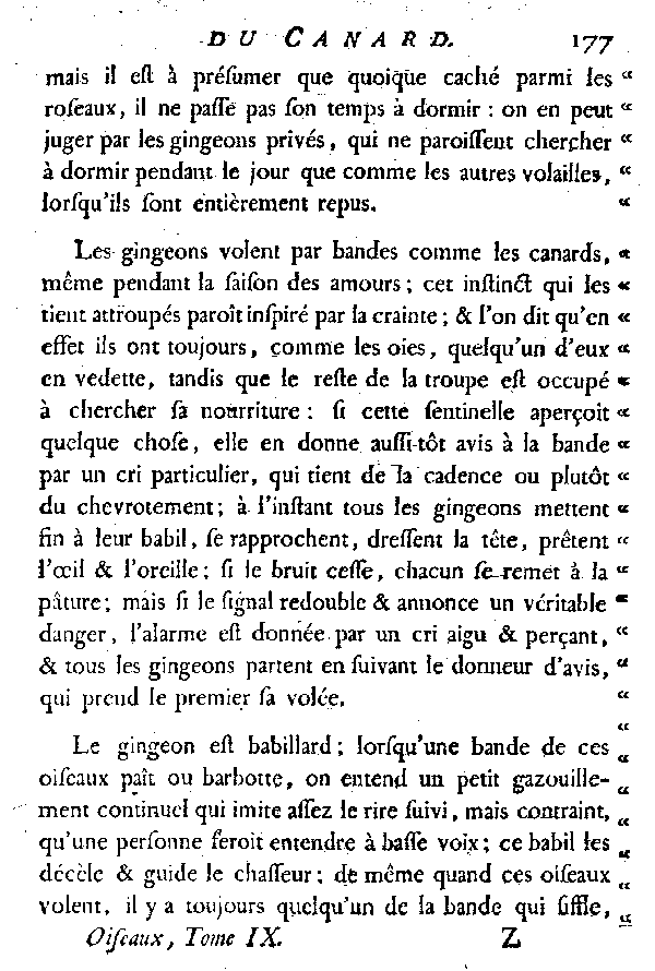 LE CANARD SIFFLEUR et LE VINCEON ou GINGEON.