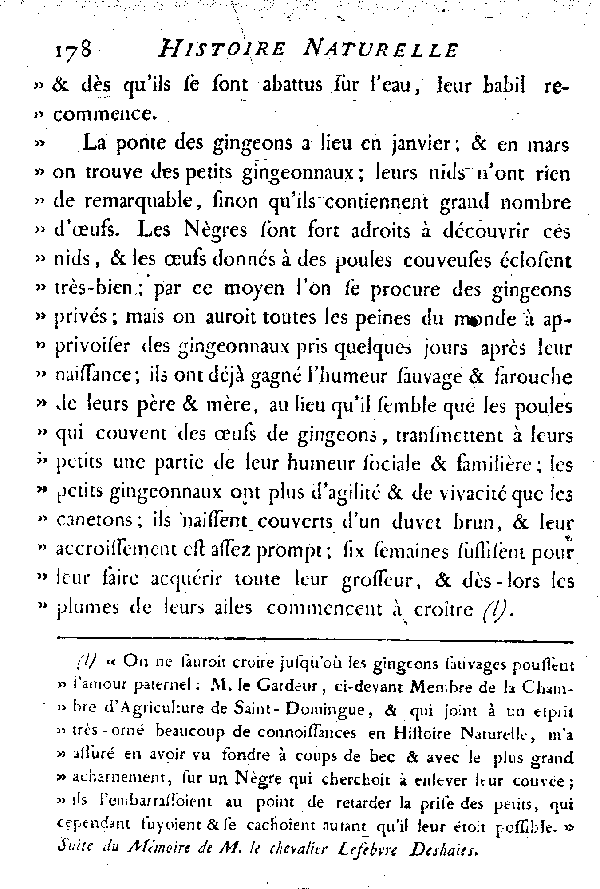 LE CANARD SIFFLEUR et LE VINCEON ou GINGEON.