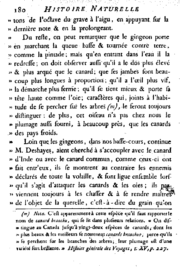 LE CANARD SIFFLEUR et LE VINCEON ou GINGEON.