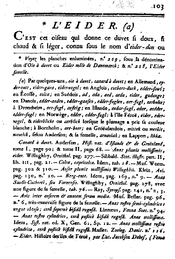 L'EIDER.