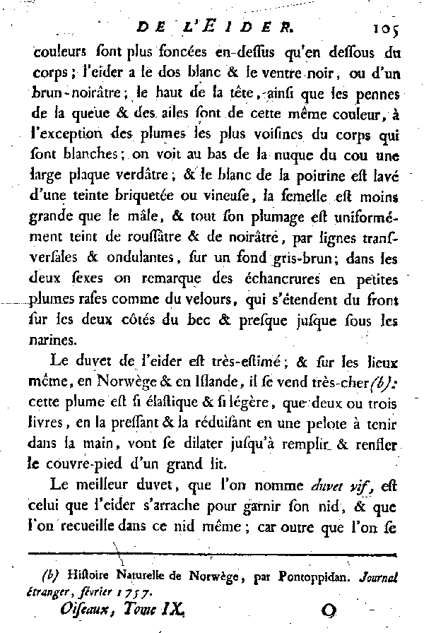 L'EIDER.