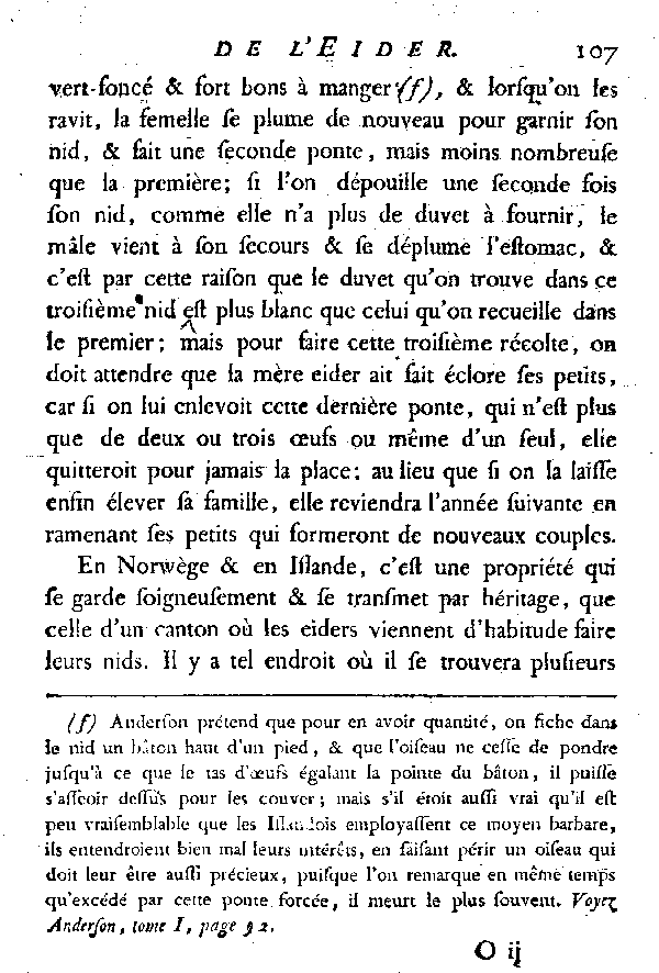 L'EIDER.