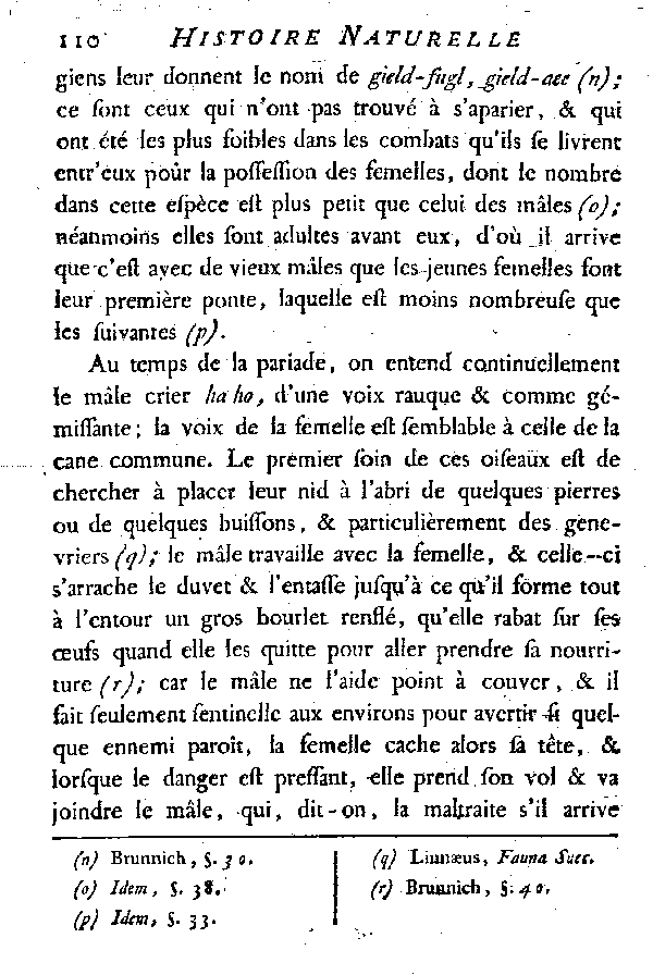 L'EIDER.