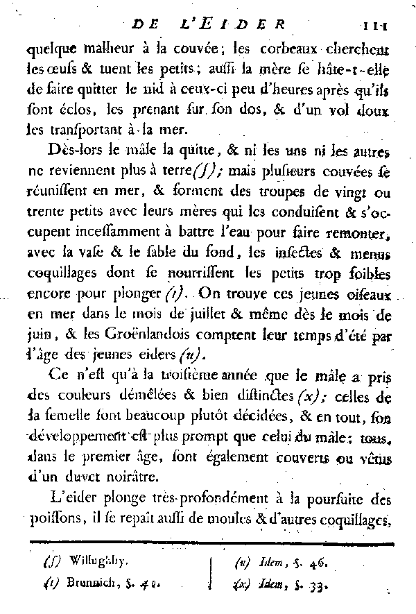 L'EIDER.
