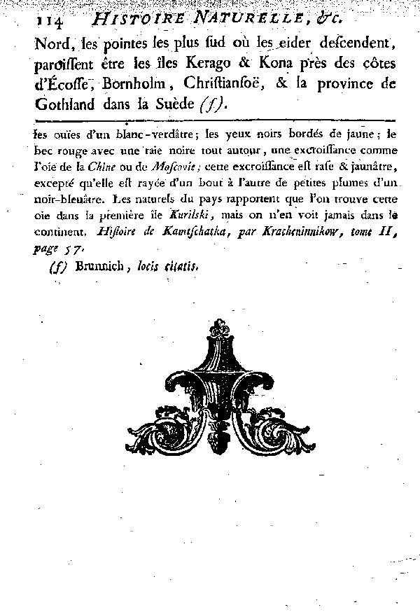 L'EIDER.