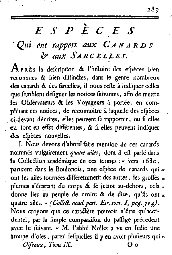 Espèces qui ont rapport aux Canards et aux Sarcelles.