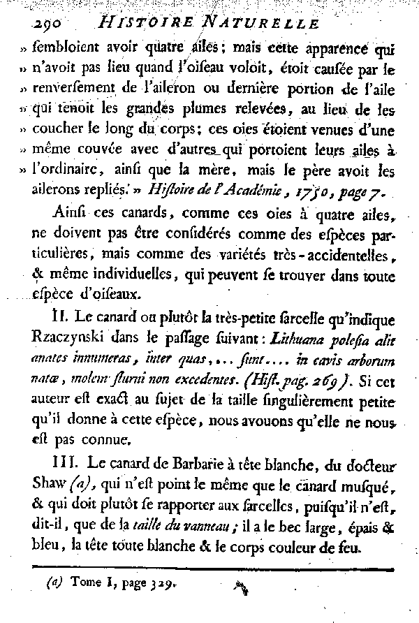 Espèces qui ont rapport aux Canards et aux Sarcelles.