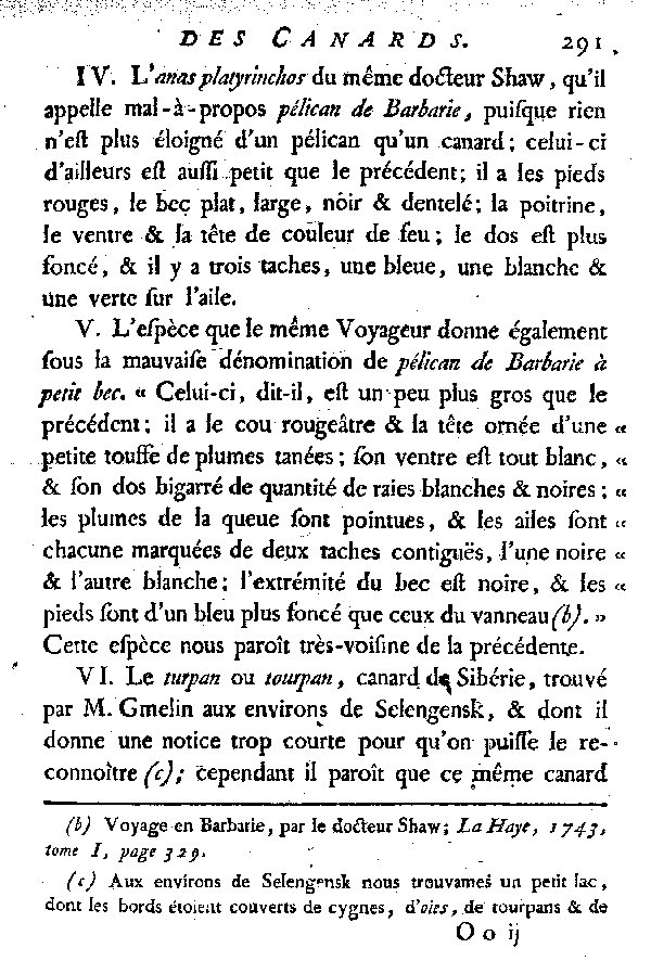 Espèces qui ont rapport aux Canards et aux Sarcelles.