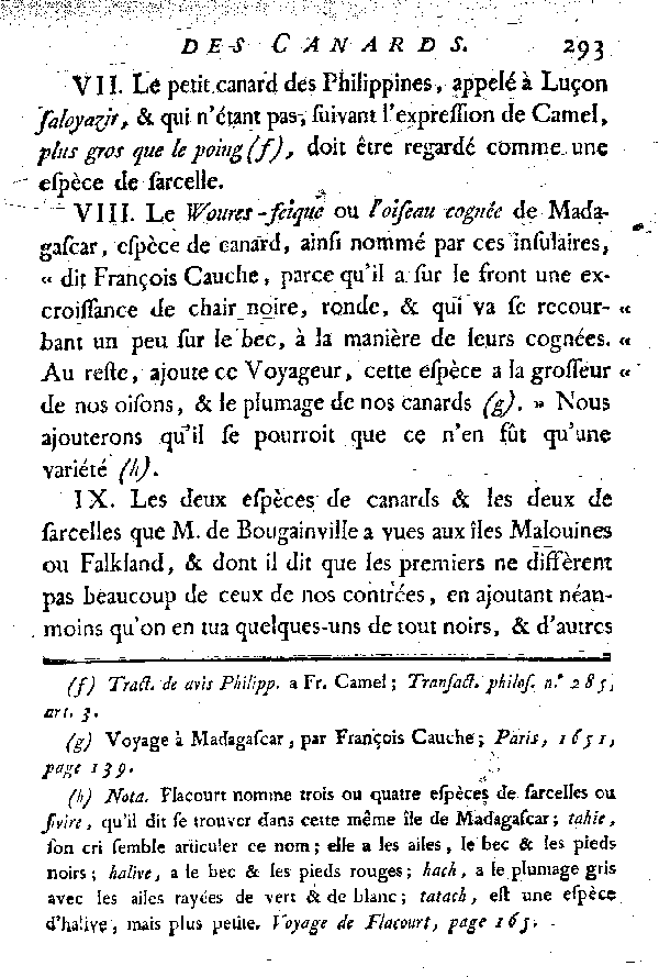 Espèces qui ont rapport aux Canards et aux Sarcelles.