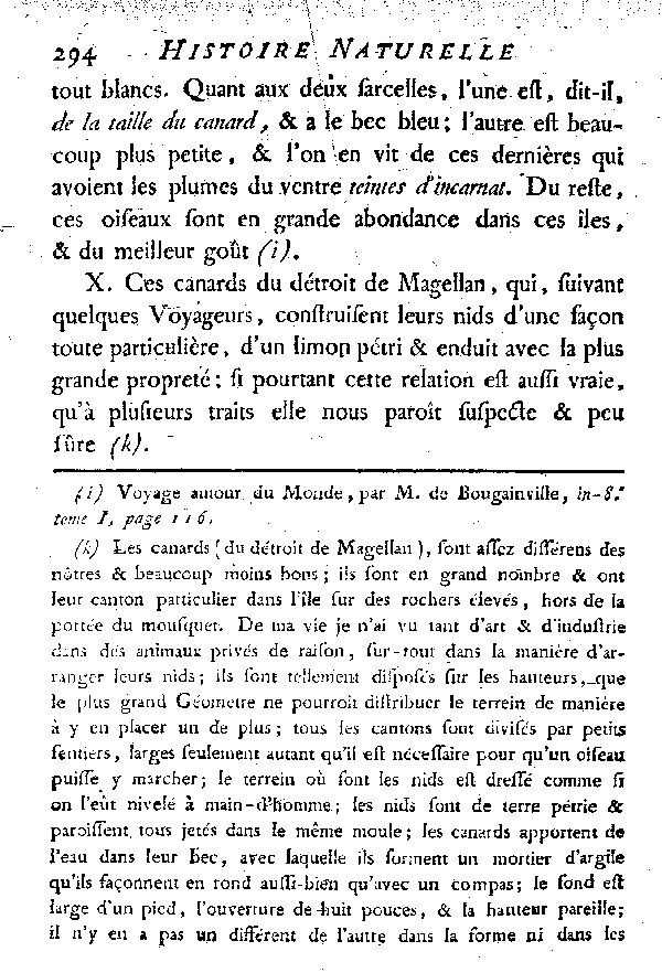 Espèces qui ont rapport aux Canards et aux Sarcelles.