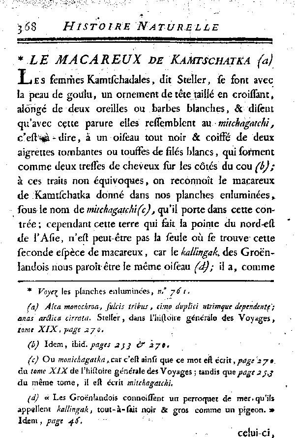 LE MACAREUX de Kamtschatka.