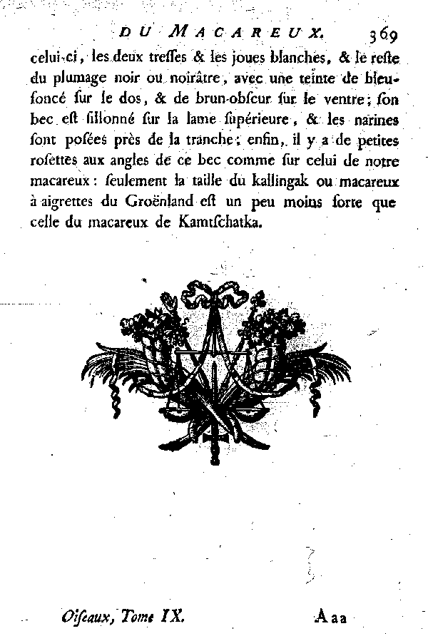 LE MACAREUX de Kamtschatka.