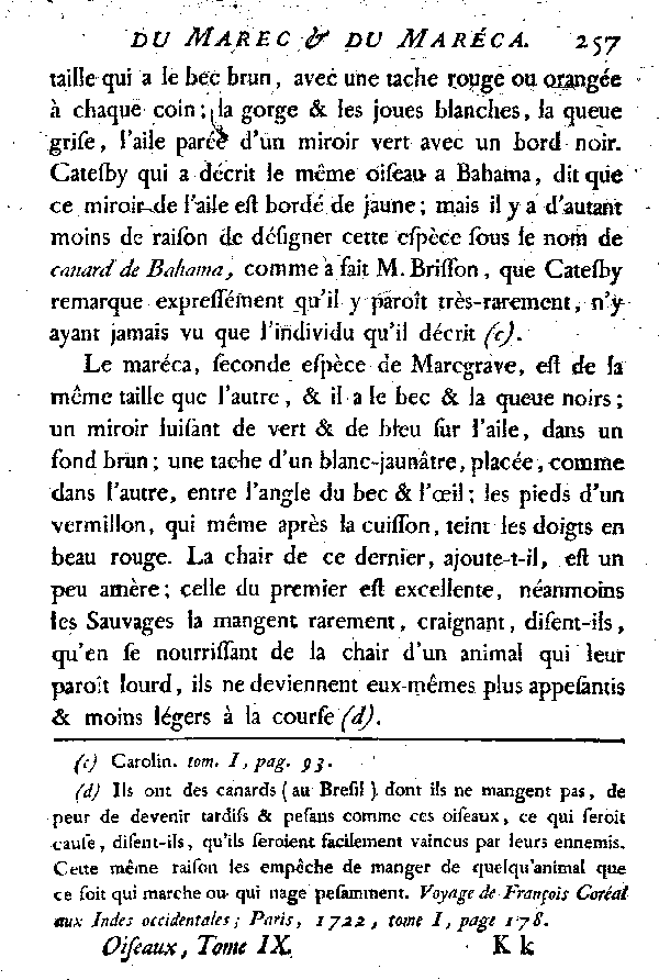 LE MAREC et LE MARECA, Canards du Bresil.