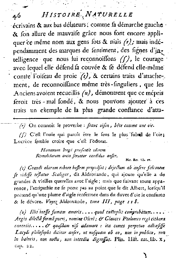 L'OIE.