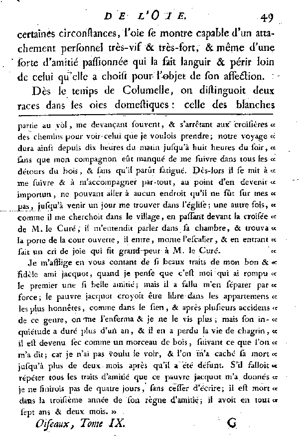 L'OIE.