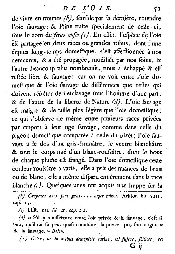 L'OIE.