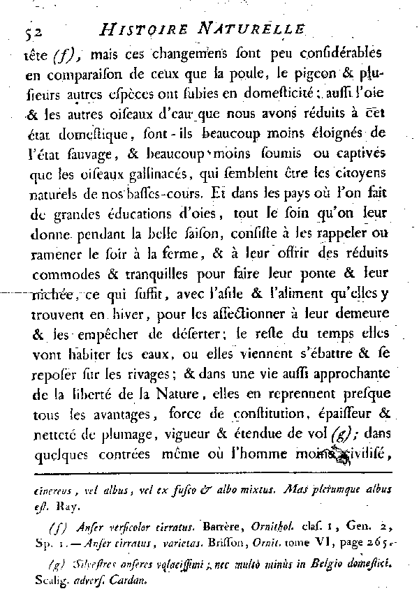 L'OIE.