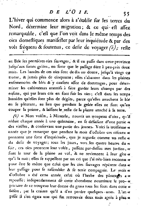 L'OIE.