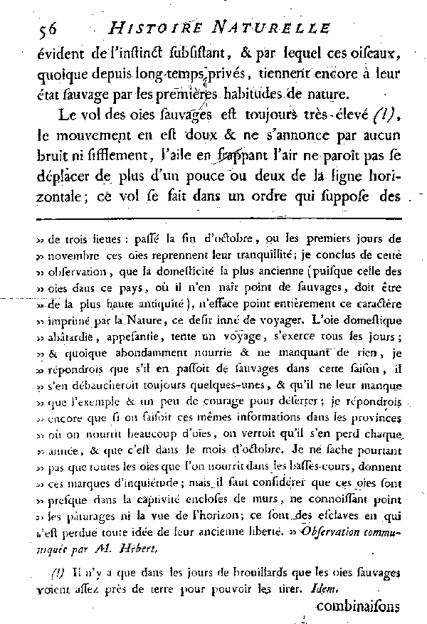 L'OIE.