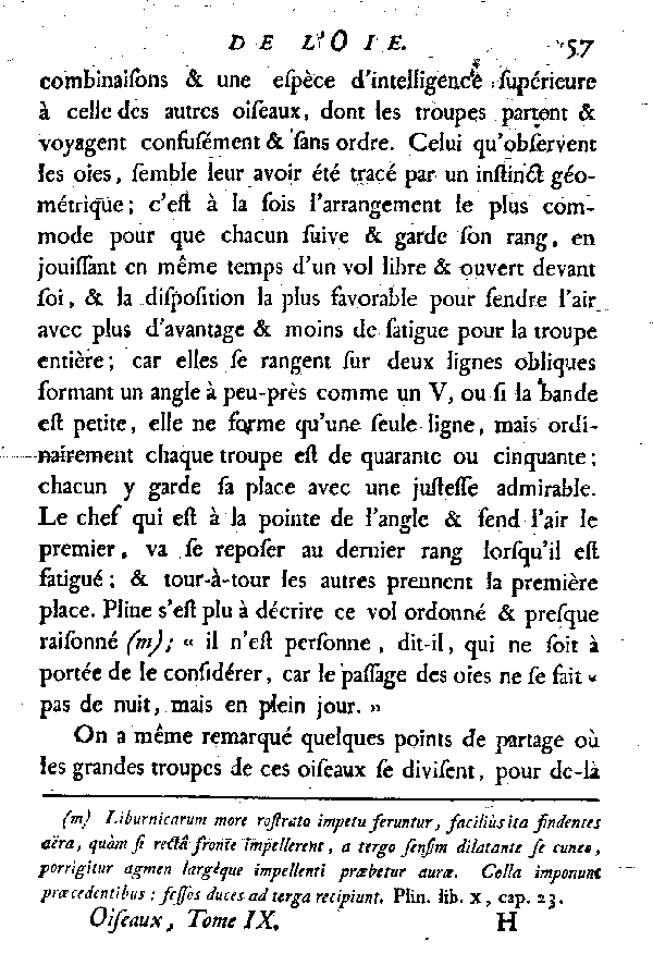 L'OIE.