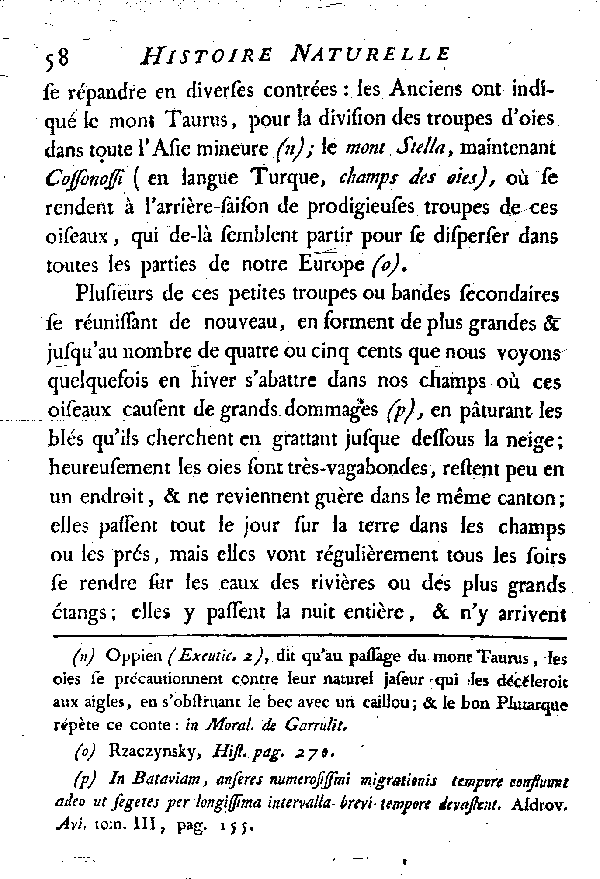 L'OIE.