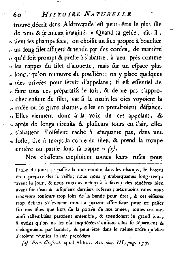 L'OIE.