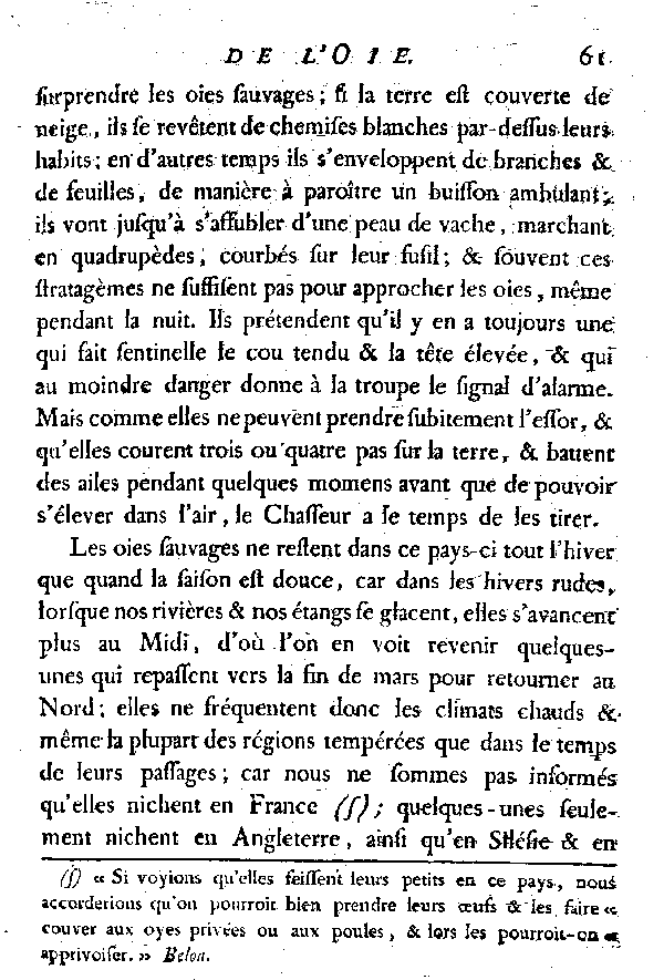 L'OIE.