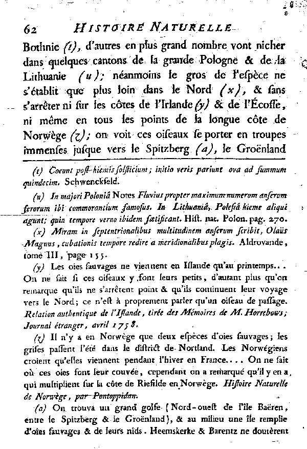 L'OIE.