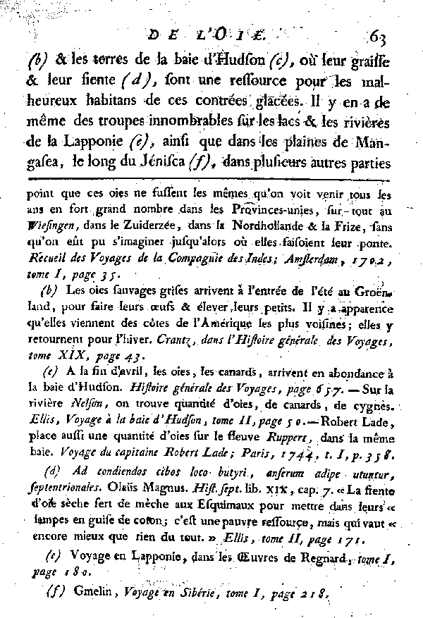 L'OIE.