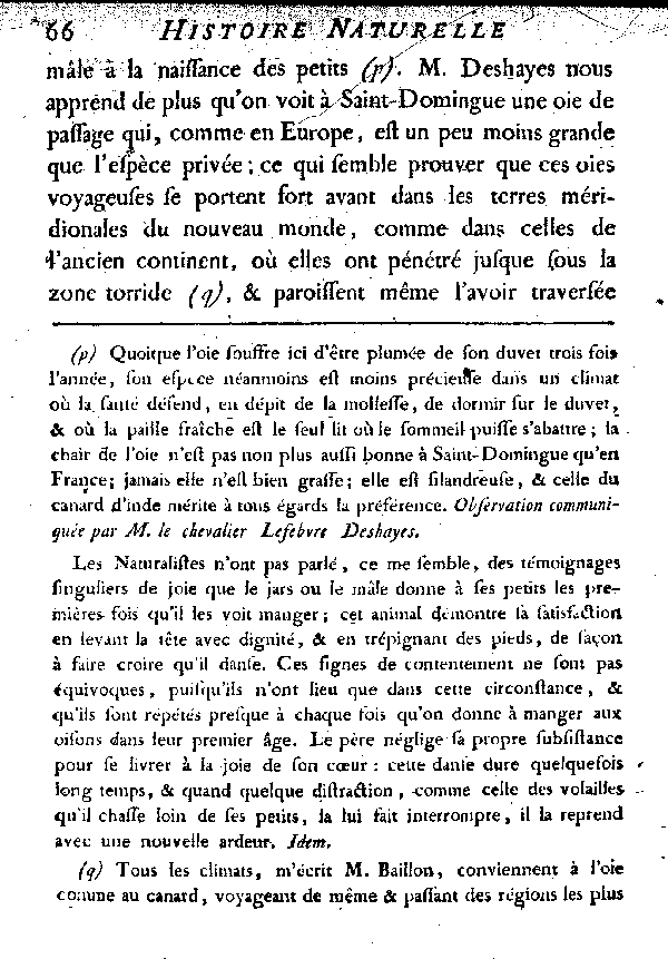 L'OIE.