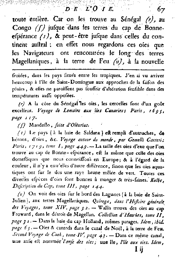 L'OIE.
