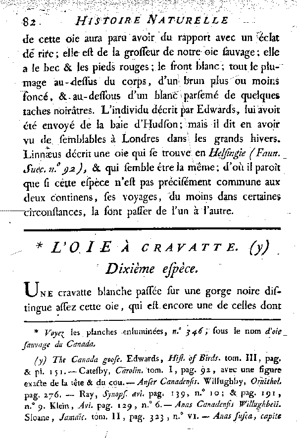 L'Oie à cravatte.