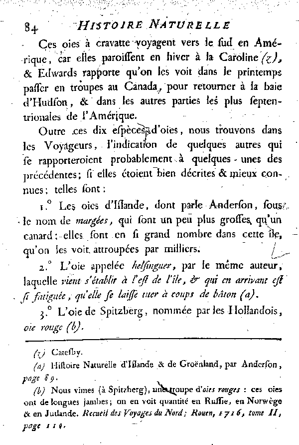 L'Oie à cravatte.