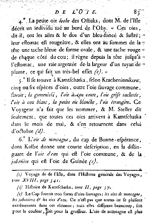 L'Oie à cravatte.