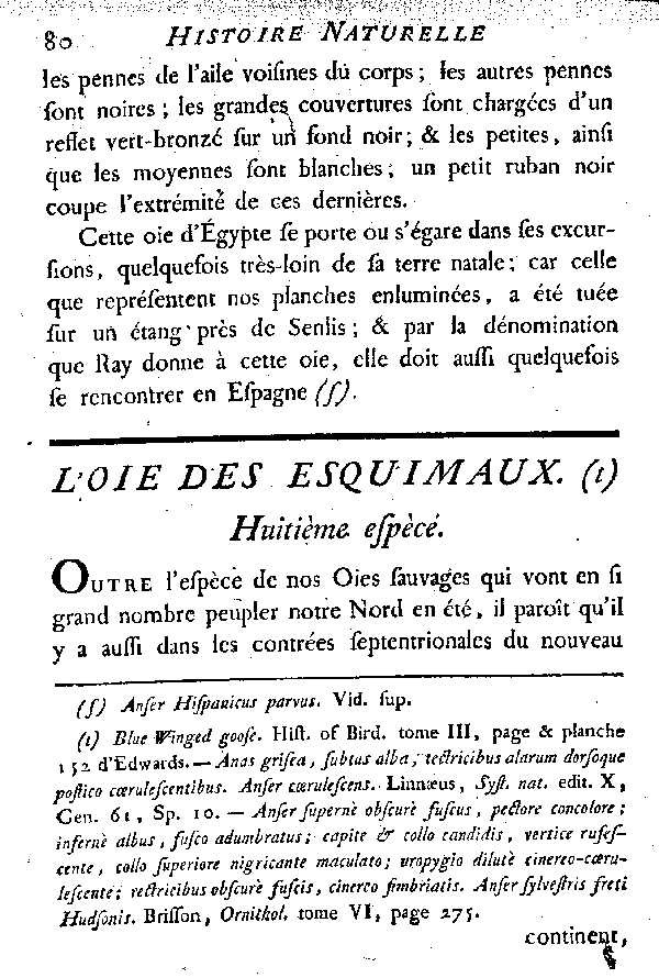 L'Oie des Esquimaux.