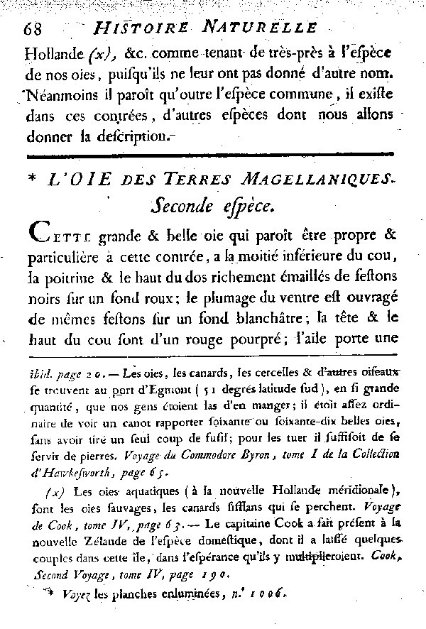 L'Oie des terres Magellaniques.