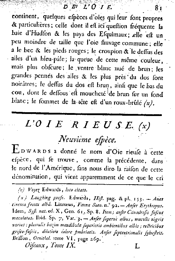 L'Oie rieuse.