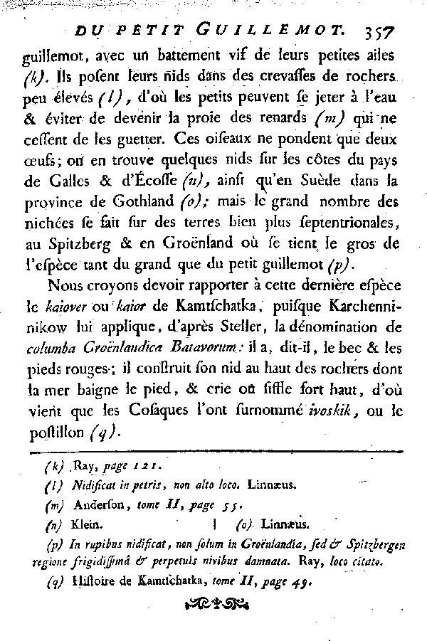 LE PETIT GUILLEMOT, improprement nommé Colombe de Groënland.