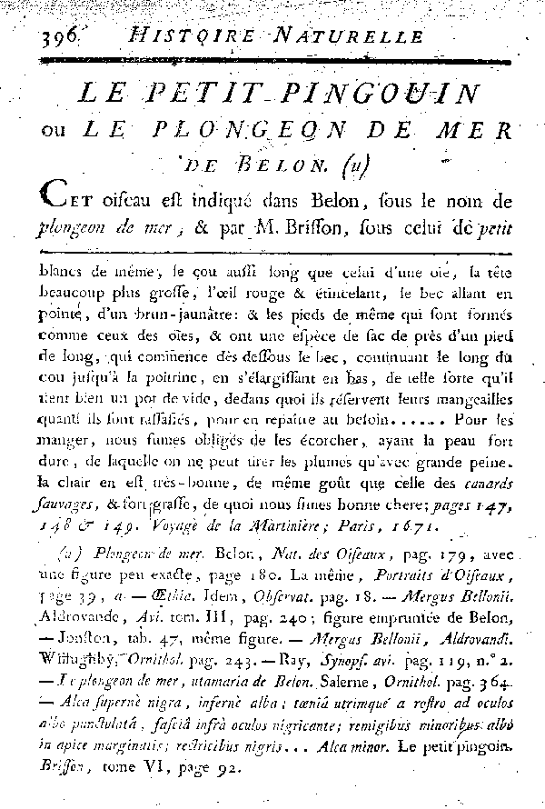 LE PETIT PINGOUIN ou LE PLONGEON de mer de Belon.