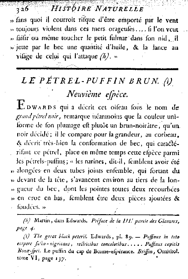 Le Pétrel-puffin brun.